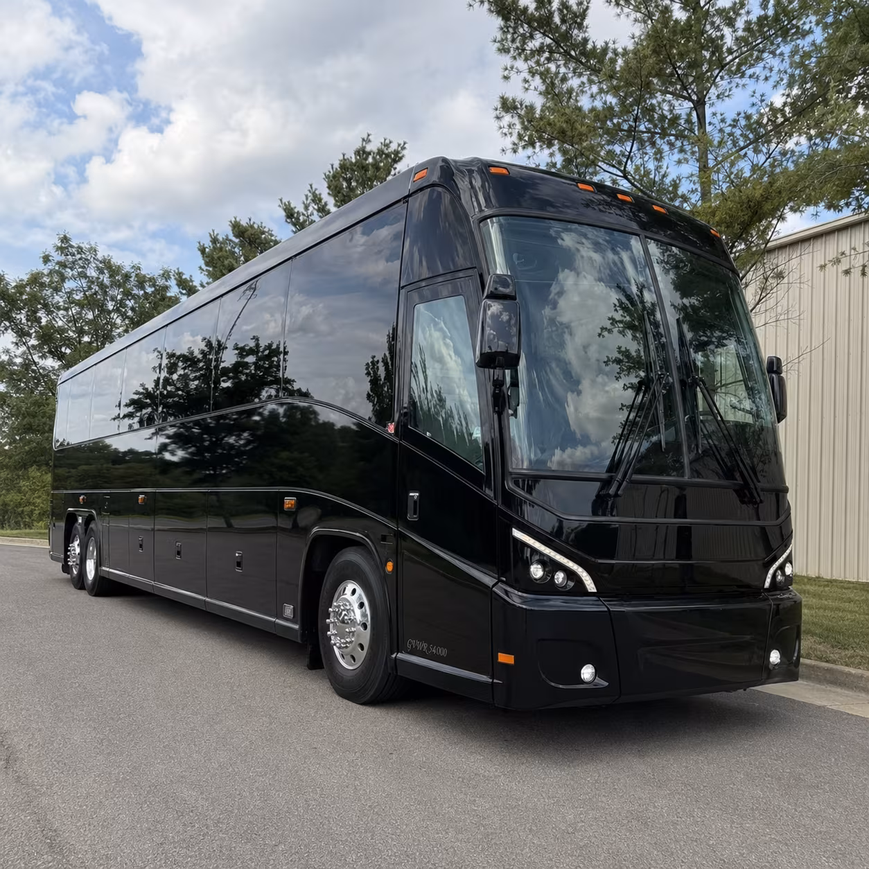 livonia birthday party transportation